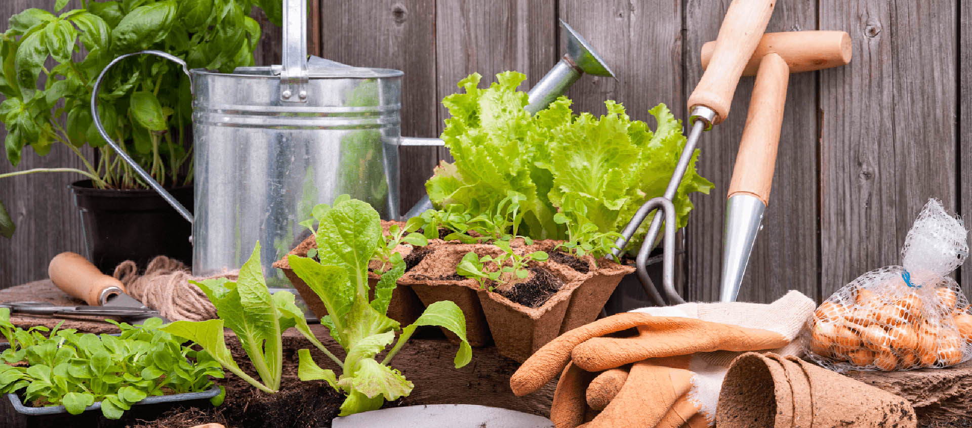 7 Gardening Tips that Work for Winnipeg Featured Image