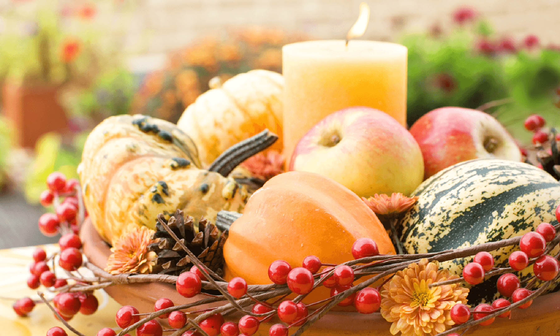 Ideas for Beautiful Fall Decor from Broadview Pumpkins Image