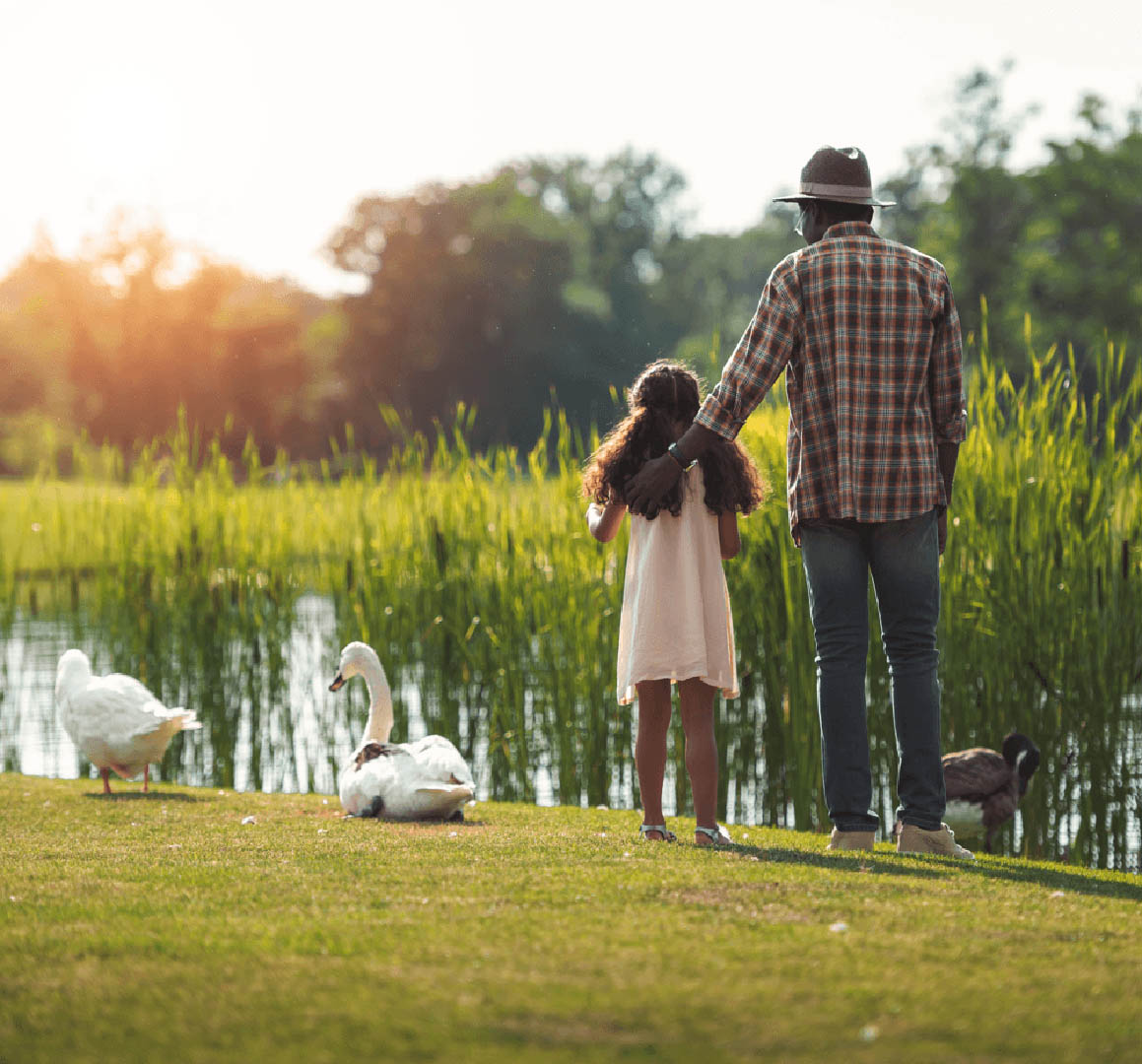 New Neighbourhoods to Explore: Devonshire Park Pond Image