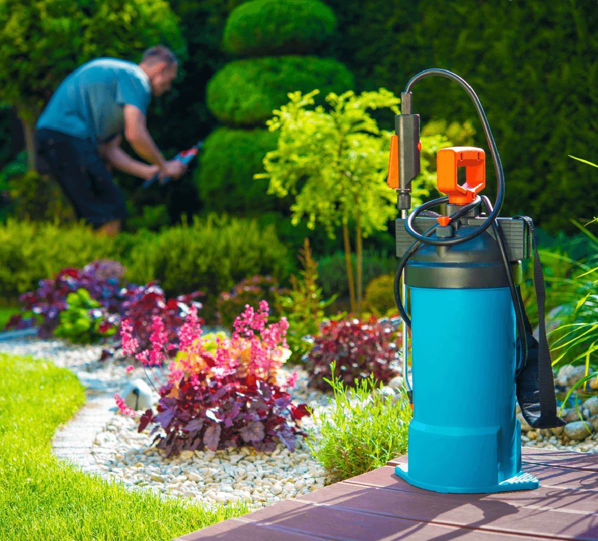 8 Tips for a Bug-Free Backyard Pest Control Image