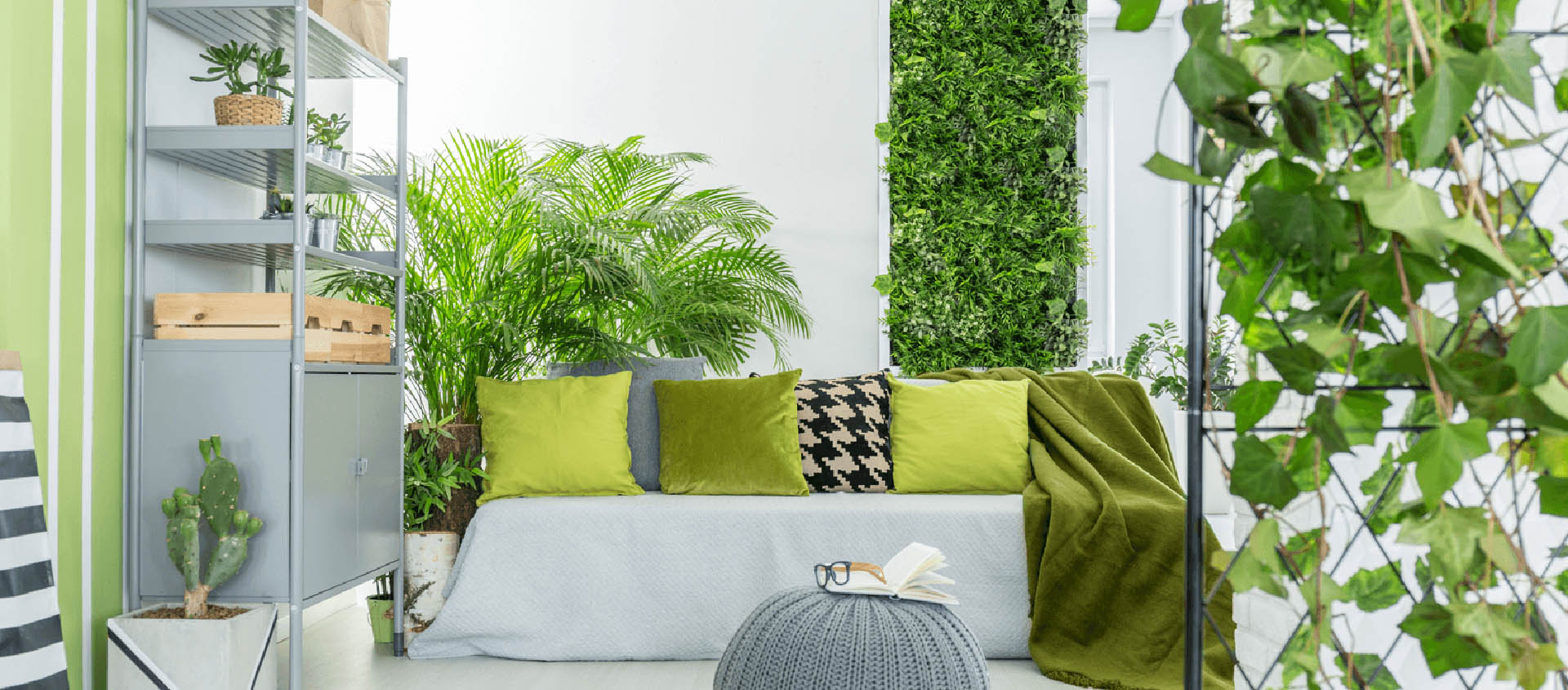 Using Plants to Purify The Air in Your Home Featured Image