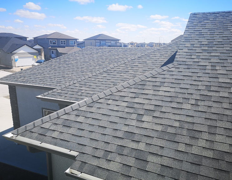 image096 shingles
