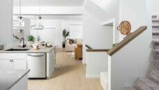 Dg 10 The Preston View