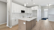 Dg33akitchen2