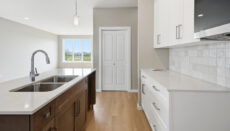 Dg33akitchen4