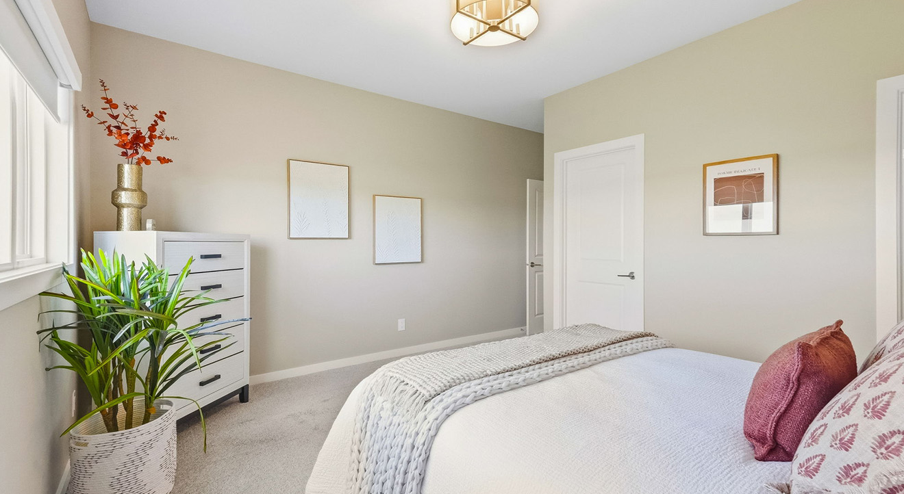 Dg50bprimarybed2