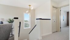 25 Custom 24 Gypsum 023