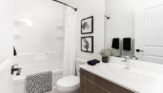 Dg50amainbath