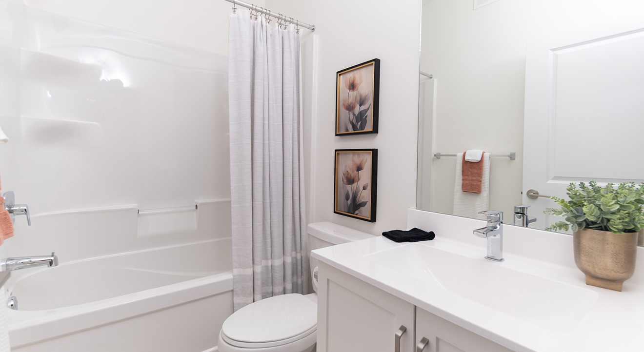 Dg50amainbath